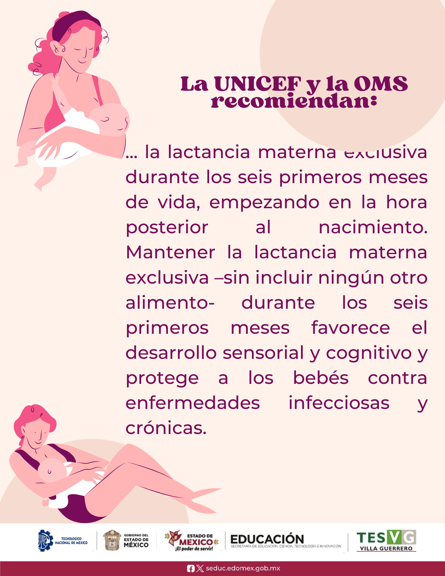 Lacta 1