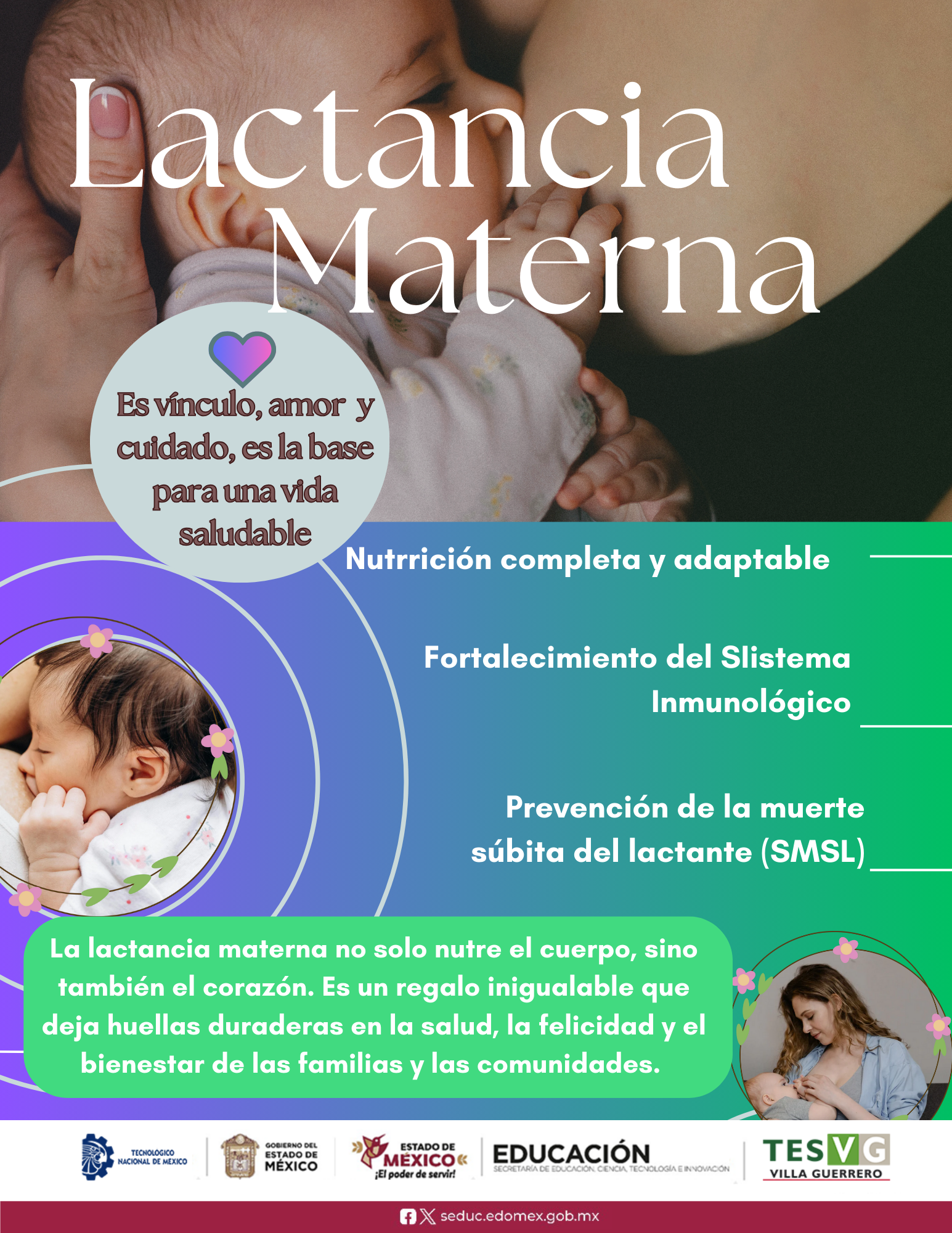 Lacta 3