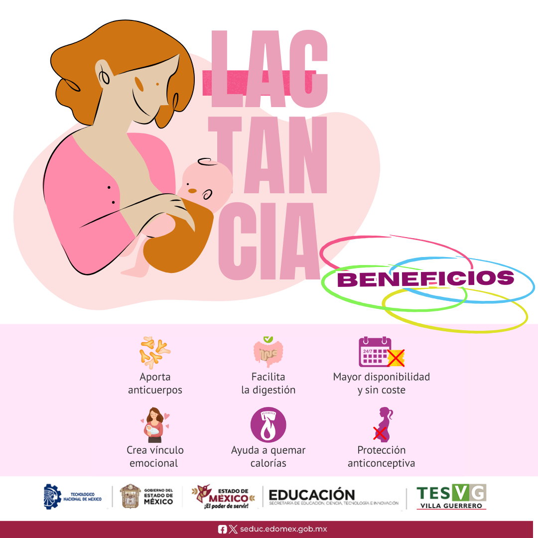 Lacta 4