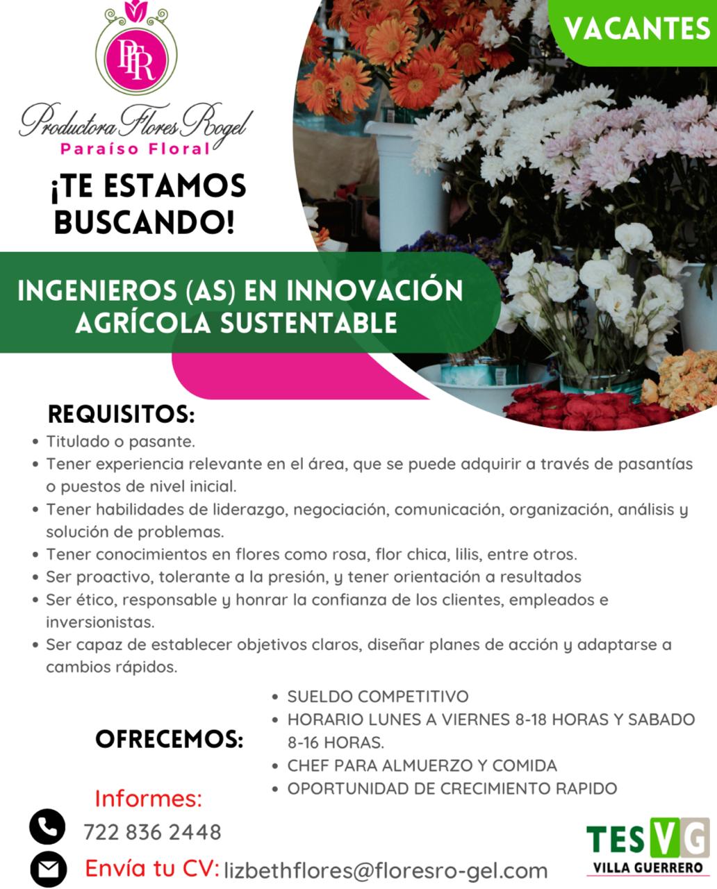 Bolsa 1